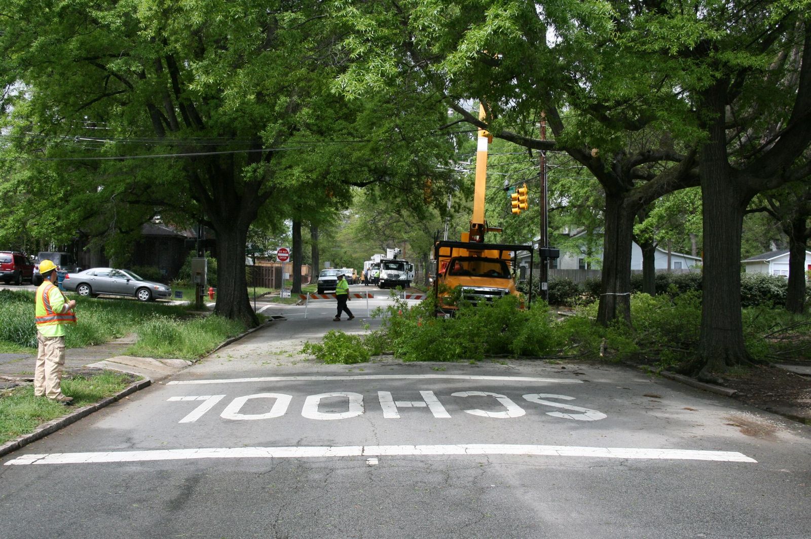 Tree removal crew with bucket truck clearing large branches on a Palm Coast area street