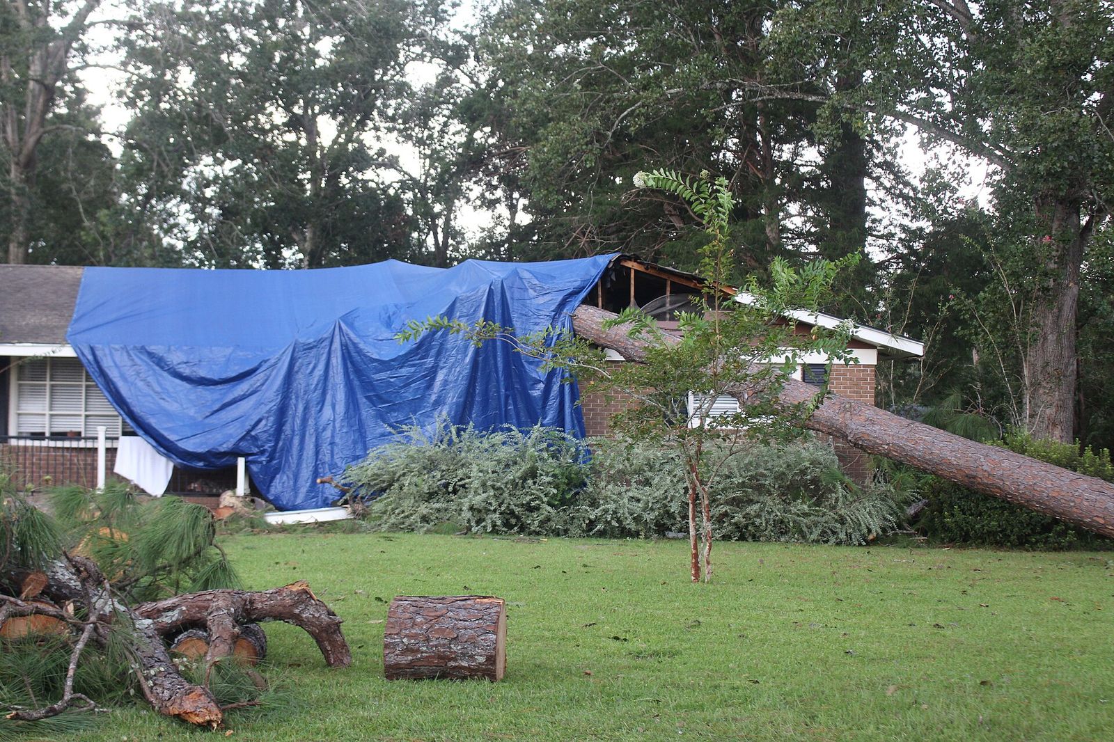 Storm-fallen tree on a house roof after hurricane damage near Palm Coast, Florida