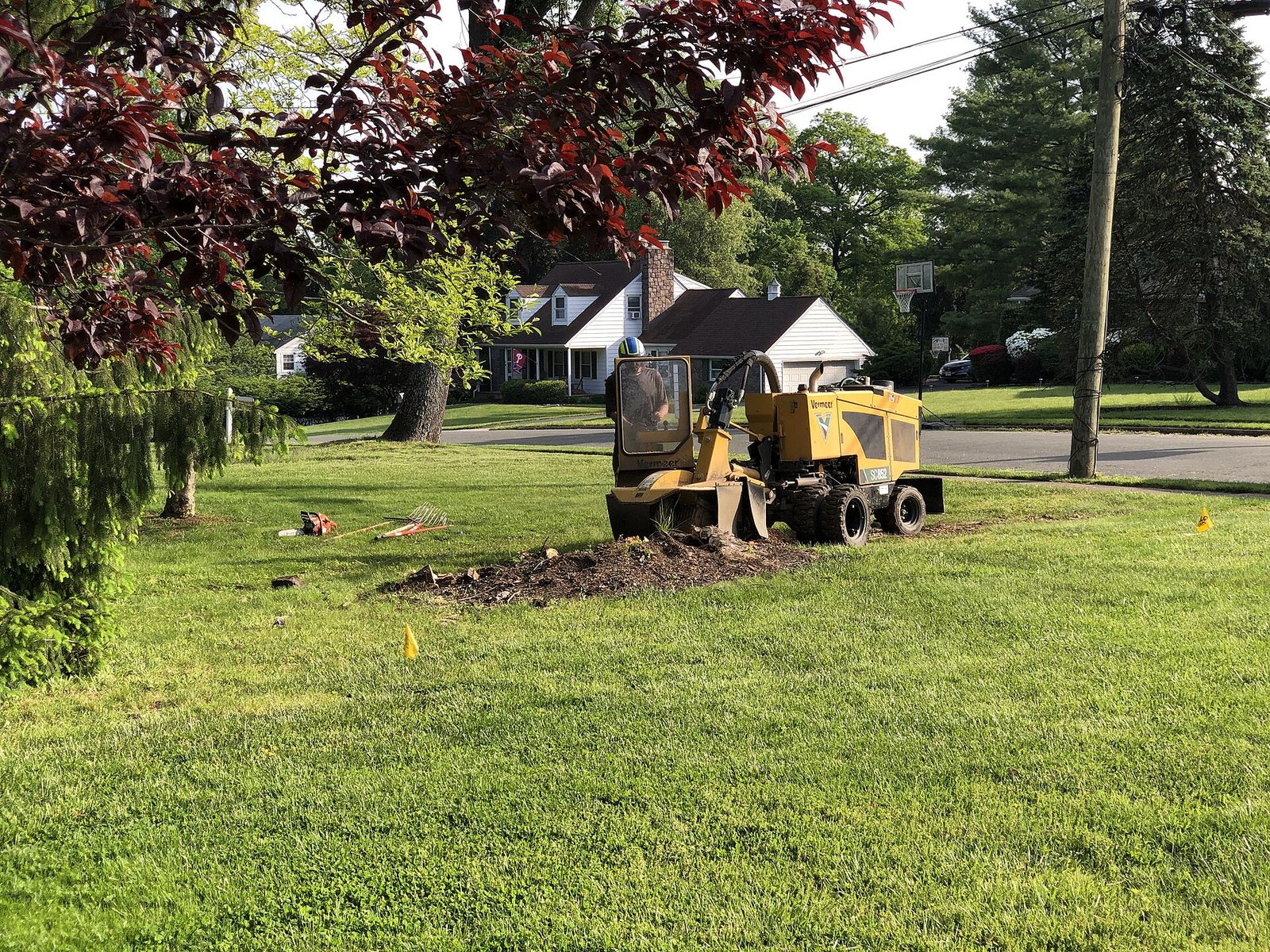 Stump grinder removing a tree stump in a Palm Coast residential yard